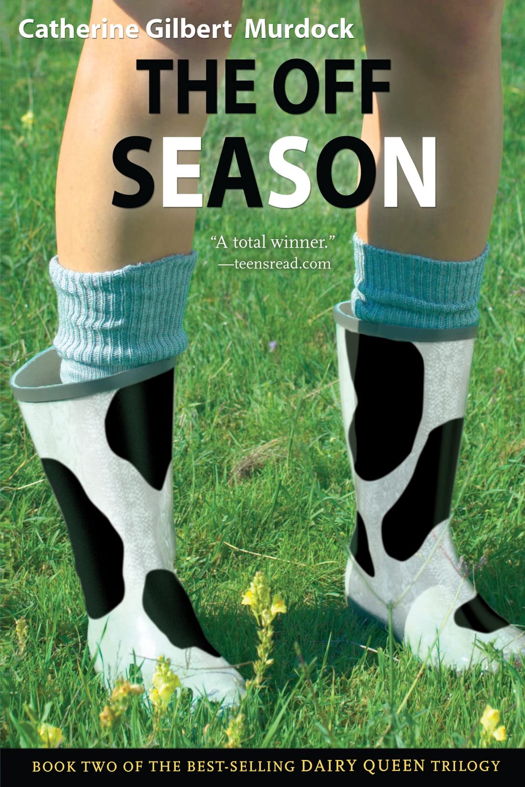 The Off Season Fiction books for children