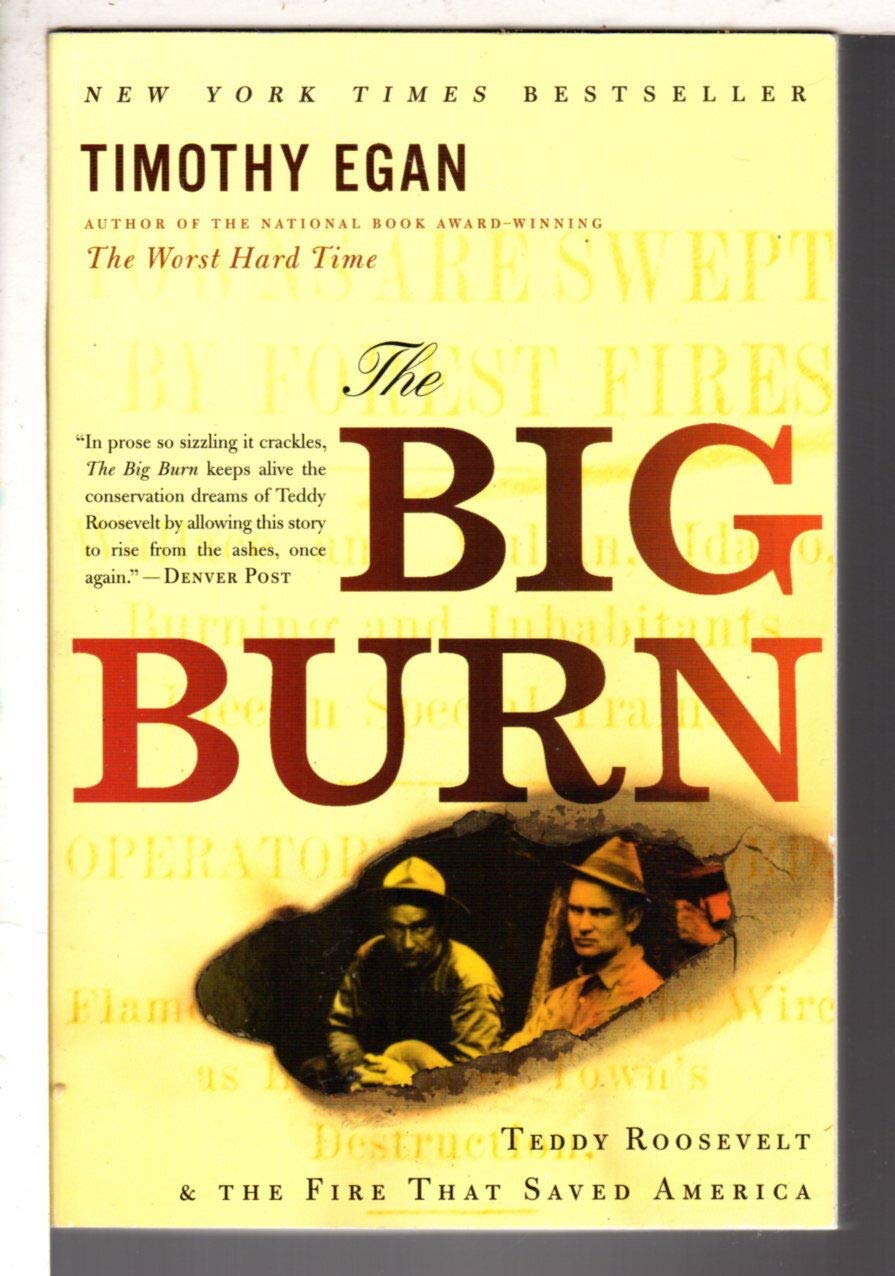 The Big Burn: Teddy Roosevelt and the Fire that Saved America Mathematics