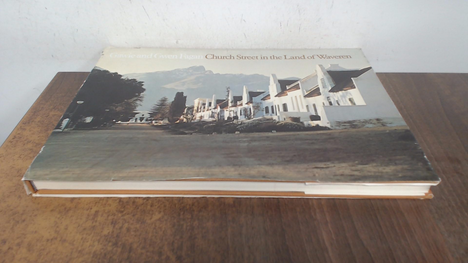 Church Street in the Land of Waveren. Books