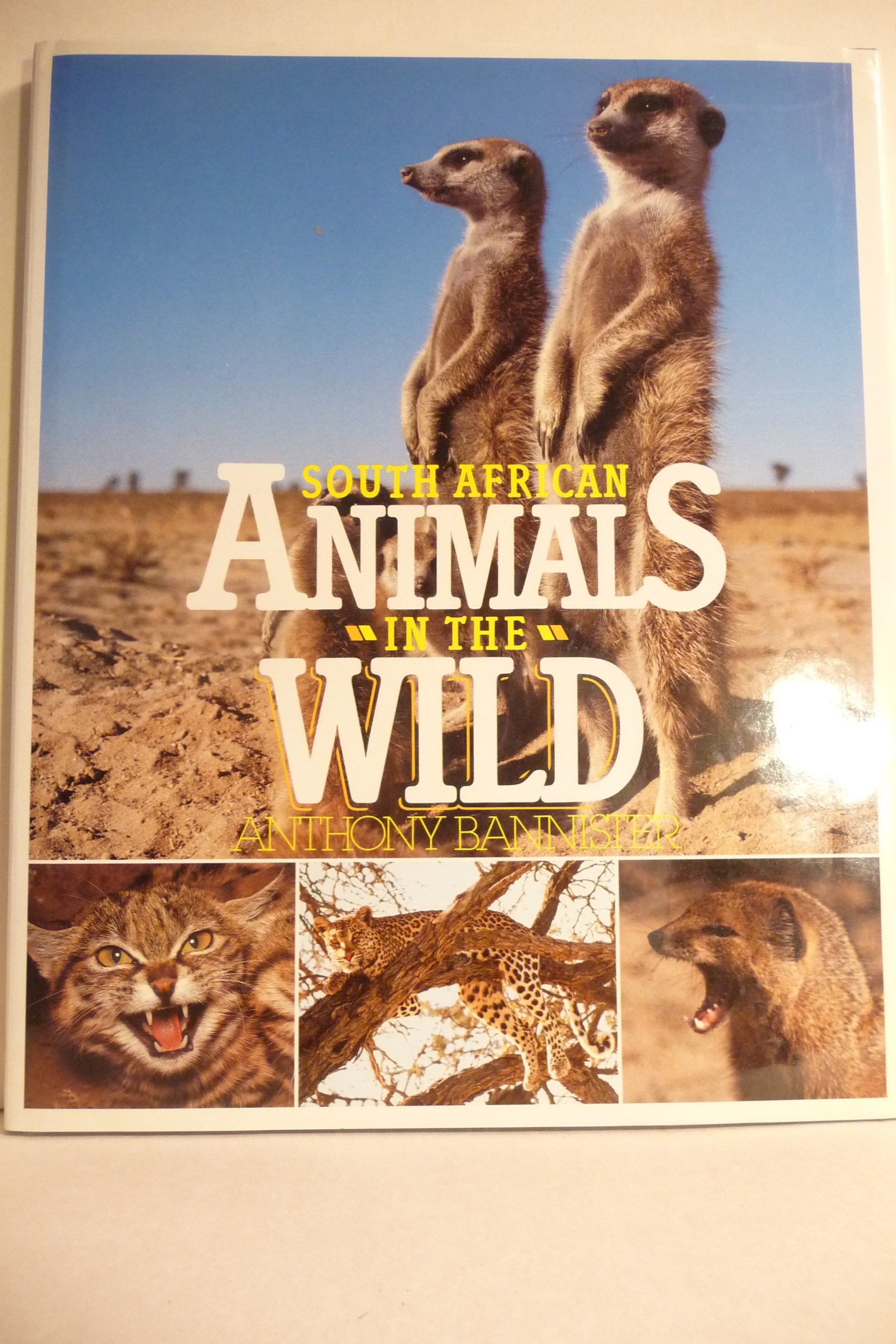 South African Animals in the Wild Books