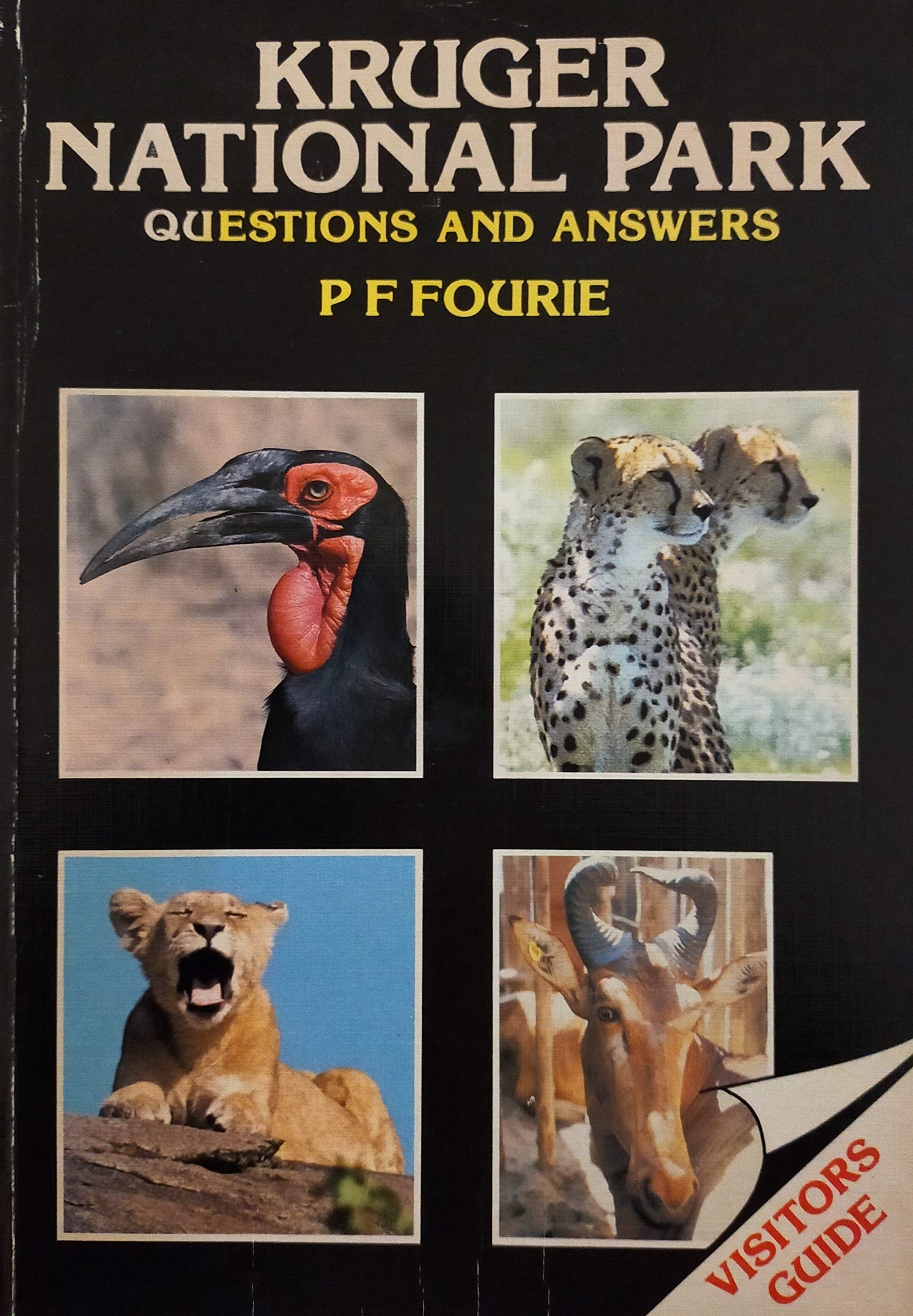 Kruger National Park. Questions and answers Books