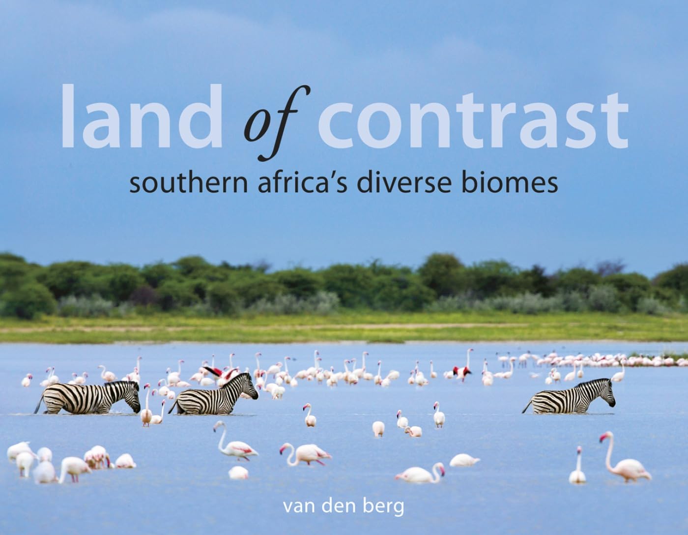 Land of Contrast Mathematics