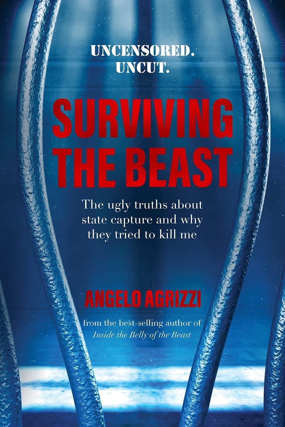 Surviving the Beast: The Ugly Truths About State Capture and Why They Tried to Kill Me Politics & Society