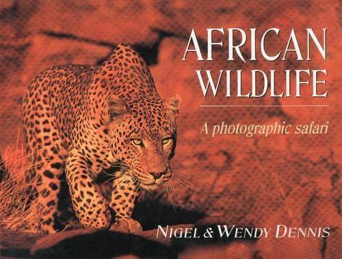 African Wildlife: A Photographic Safari Mathematics