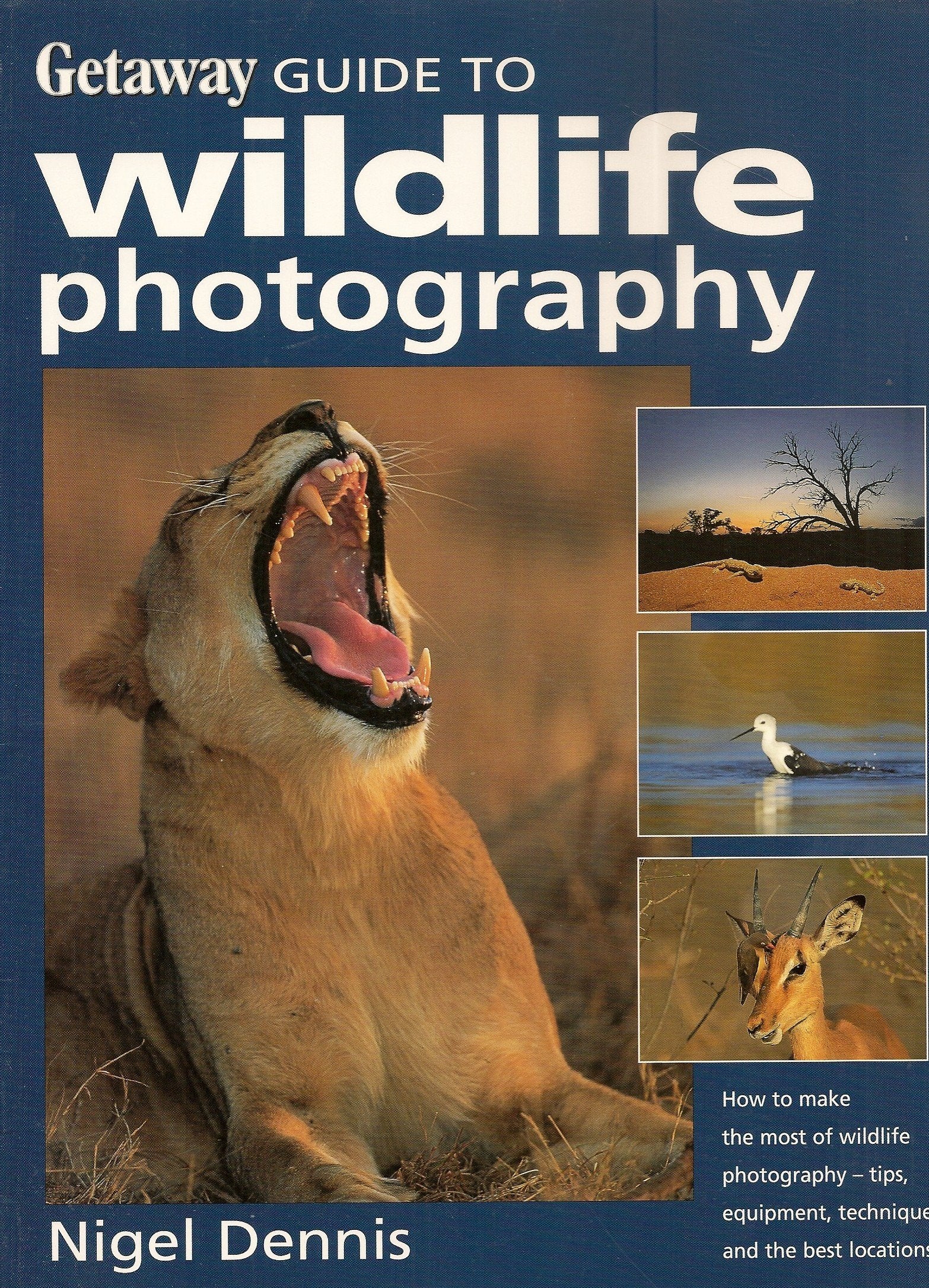 Getaway guide to wildlife photography Mathematics