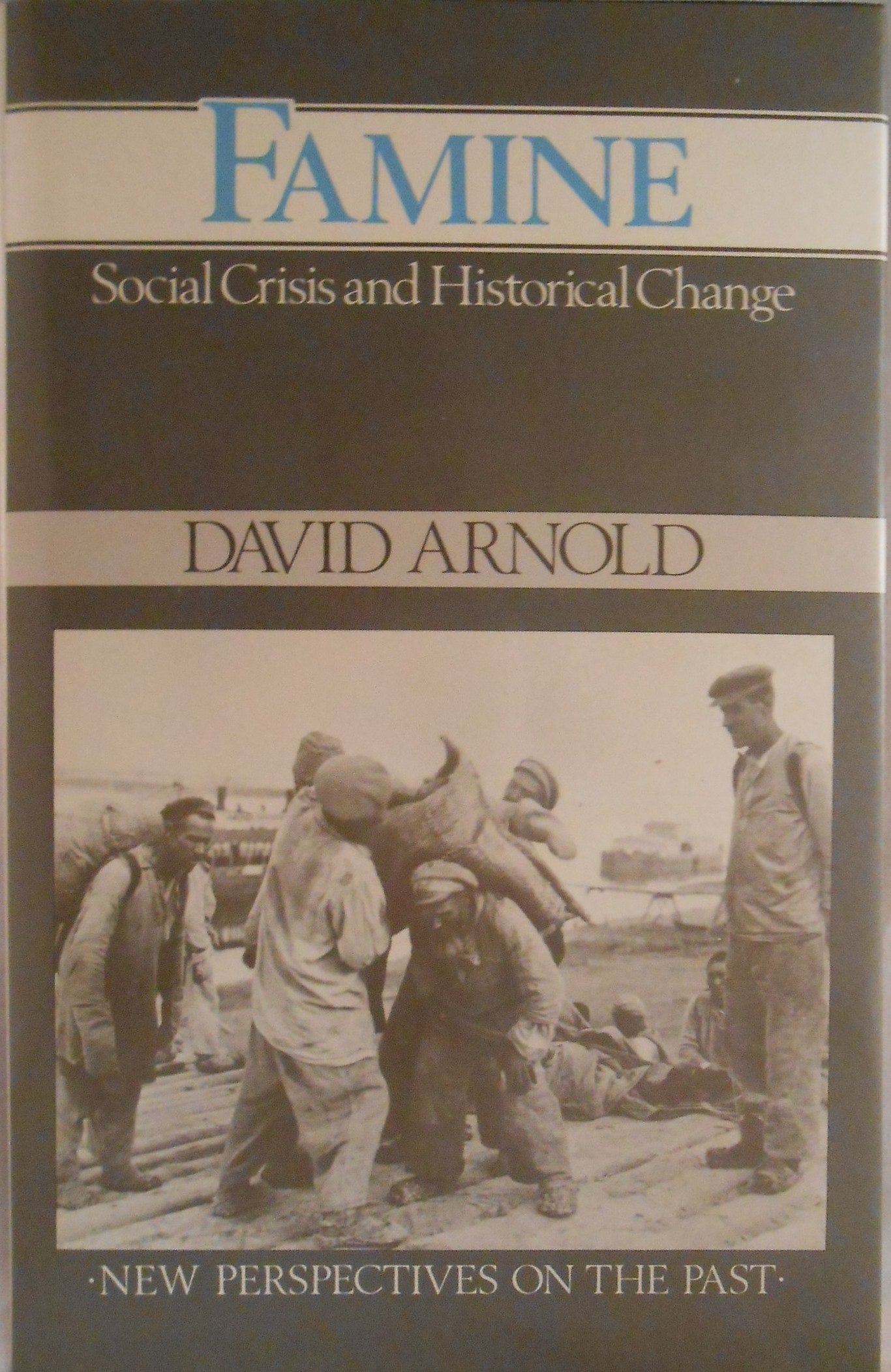 Famine: Social Crisis and Historical Change (New Perspectives on the Past) Books