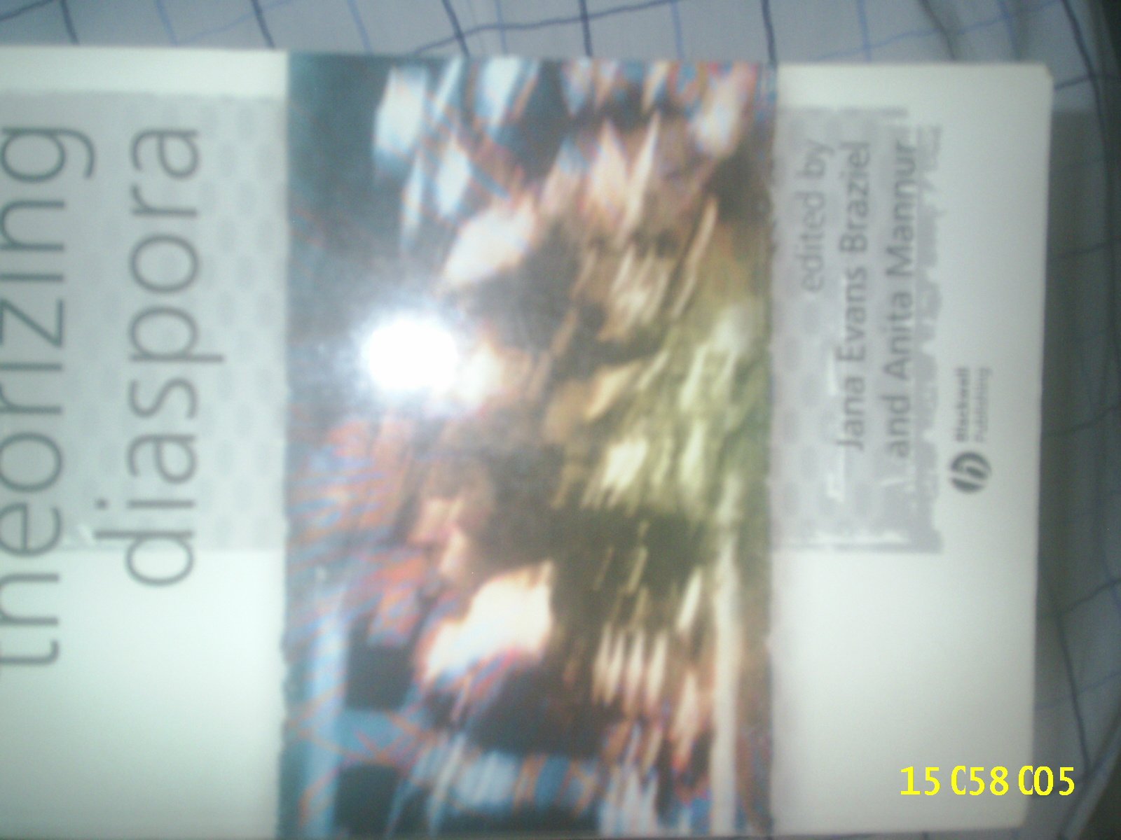 Theorizing Diaspora: A Reader (KeyWorks in Cultural Studies) Law