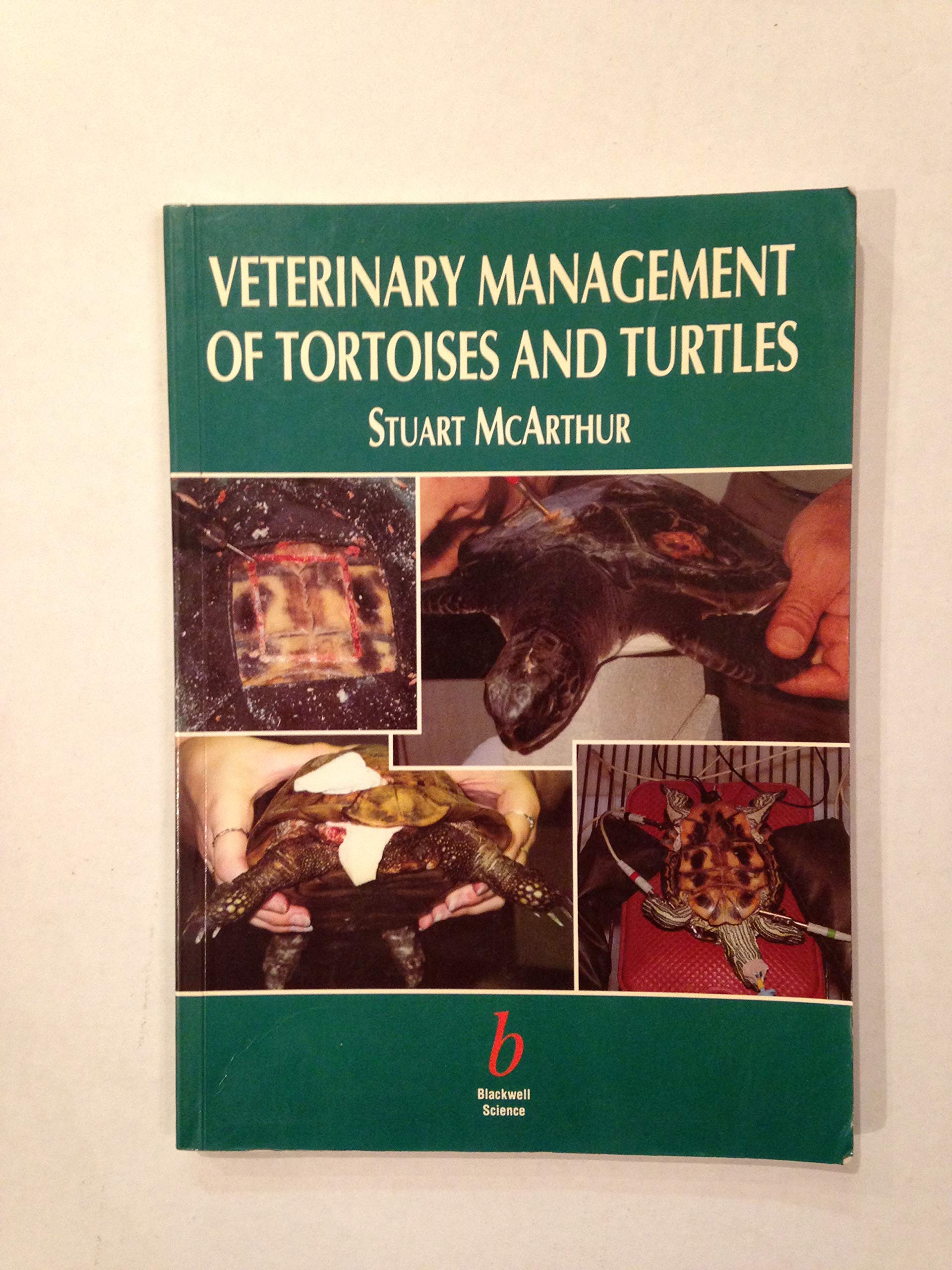 Veterinary Management of Tortoises and Turtles Medicine