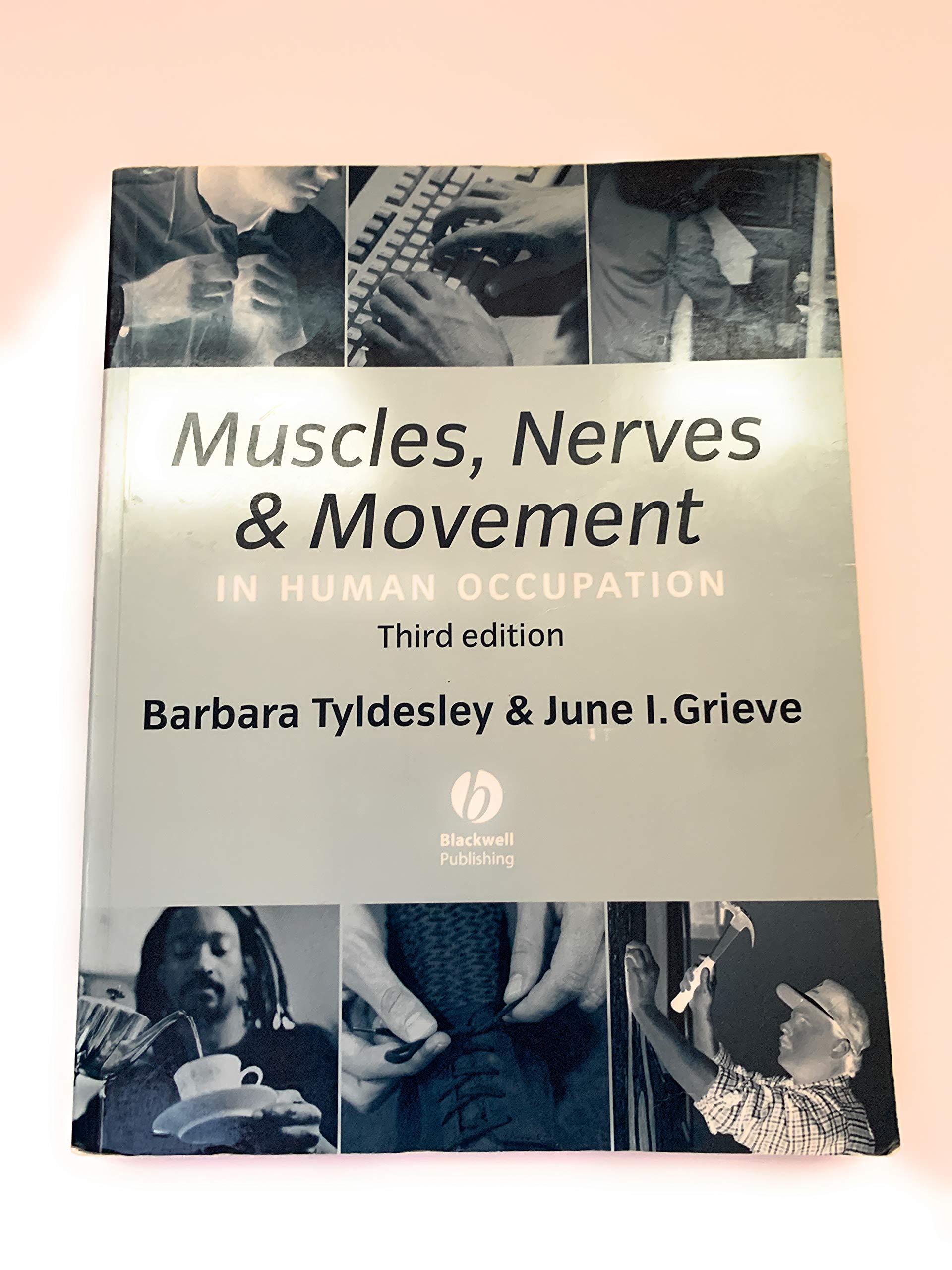 Muscles, Nerves and Movement in Human Occupation Medicine