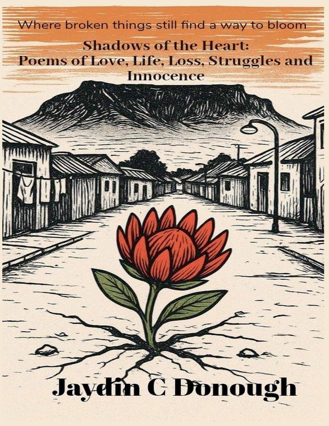 Shadows of the Heart Poetry