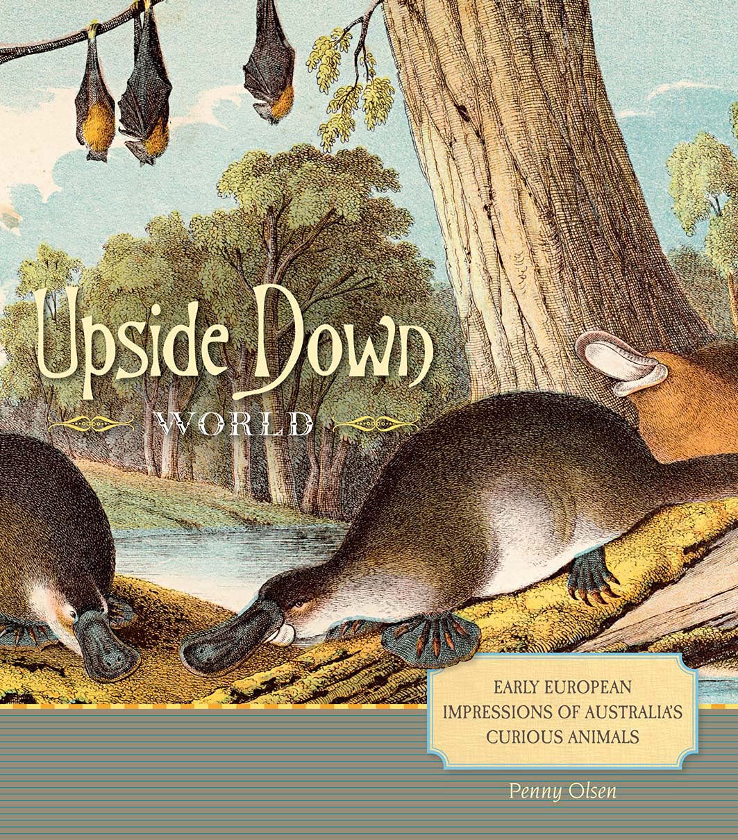 Upside Down World: Early European Impressions of Australia's Curious Animals Mathematics