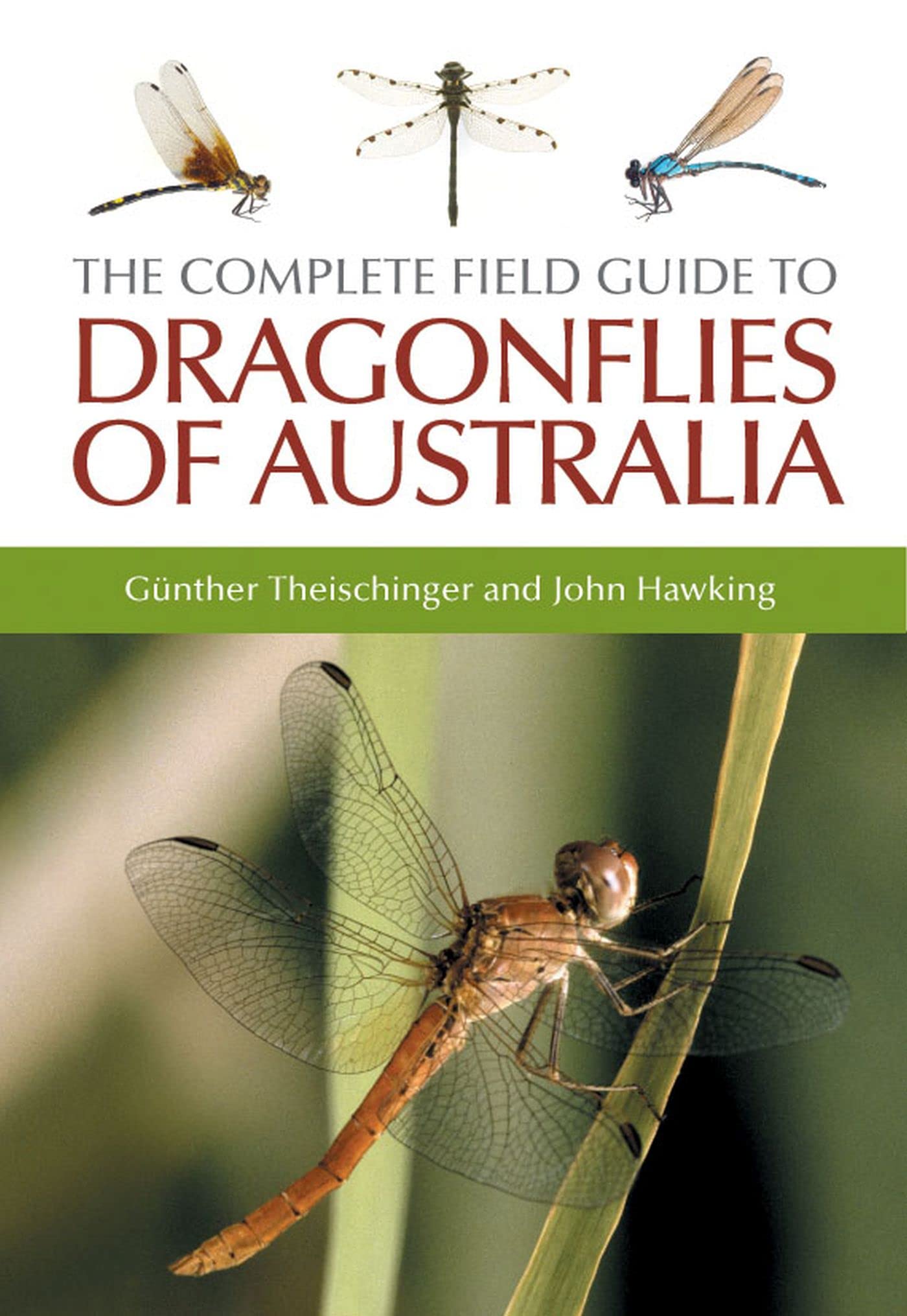 The Complete Field Guide to Dragonflies of Australia Mathematics