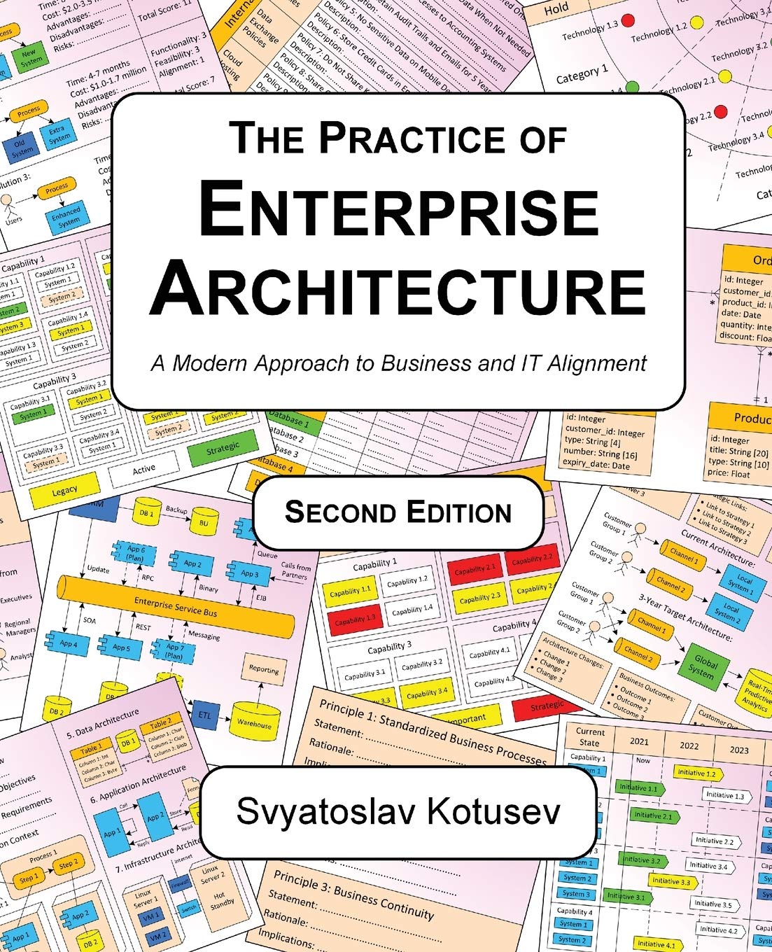 The Practice of Enterprise Architecture Business, Finance & Career