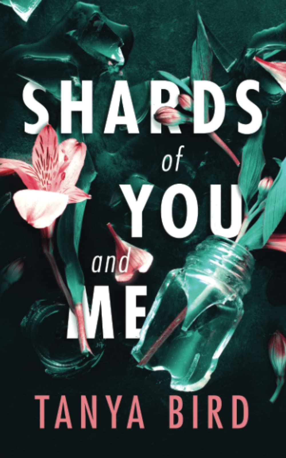 Shards of You and Me Contemporary literature