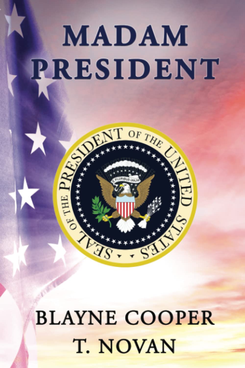 Madam President (First Family Series, Band 1) LGBTQ+