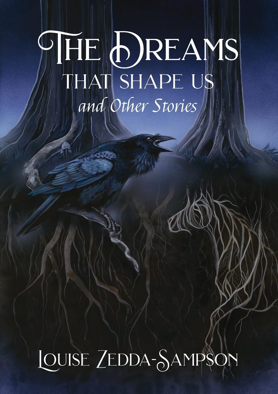 The Dreams That Shape Us and Other Stories Dark Fantasy