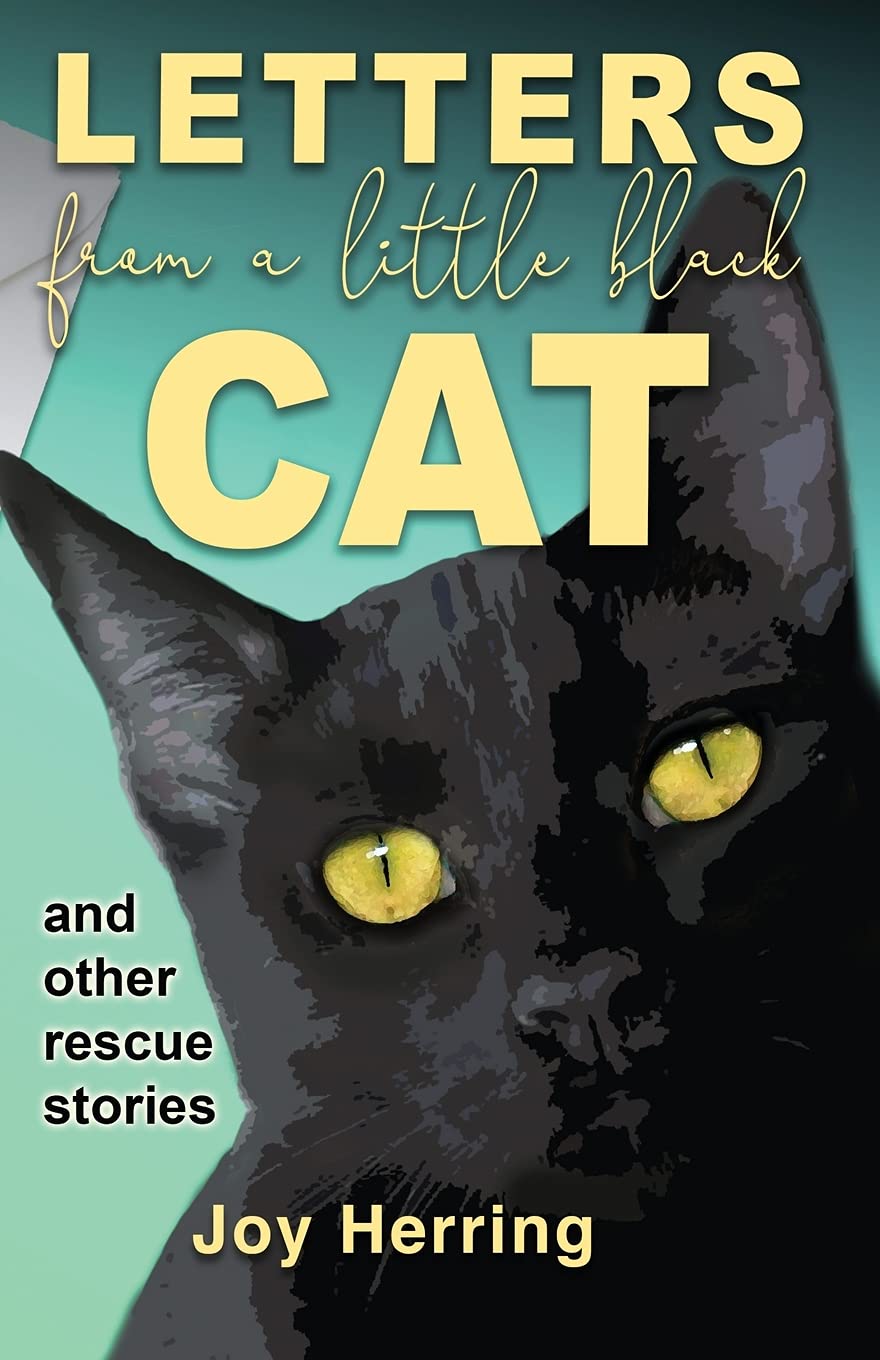 Letters from a Little Black Cat: and other rescue stories Social Sciences