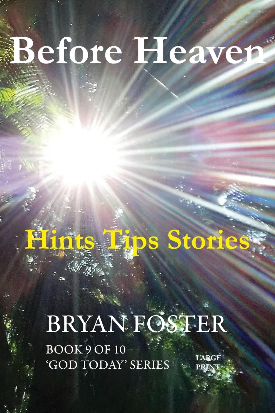 Before Heaven: Hints Tips Stories (God Today', Band 9) Philosophy