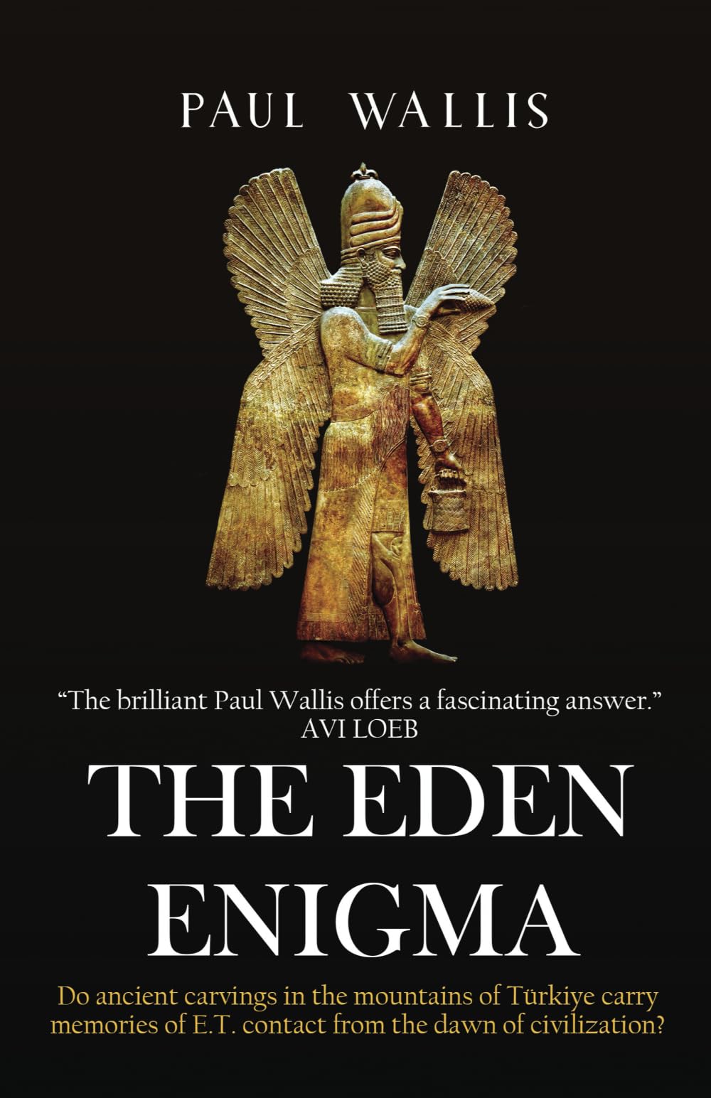 THE EDEN ENIGMA: Do ancient carvings in the mountains of Türkiye carry memories of E.T. contact from the dawn of civilization? Business & Technology