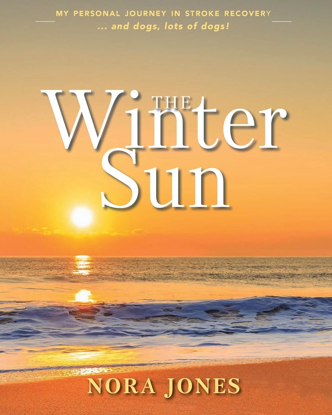 The Winter Sun: My personal journey in stroke recovery ... and dogs, lots of dogs! Medicine