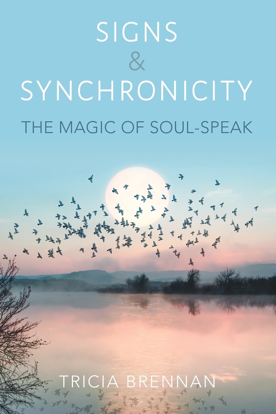 Signs & Synchronicity - The Magic of Soul Speak Self-help