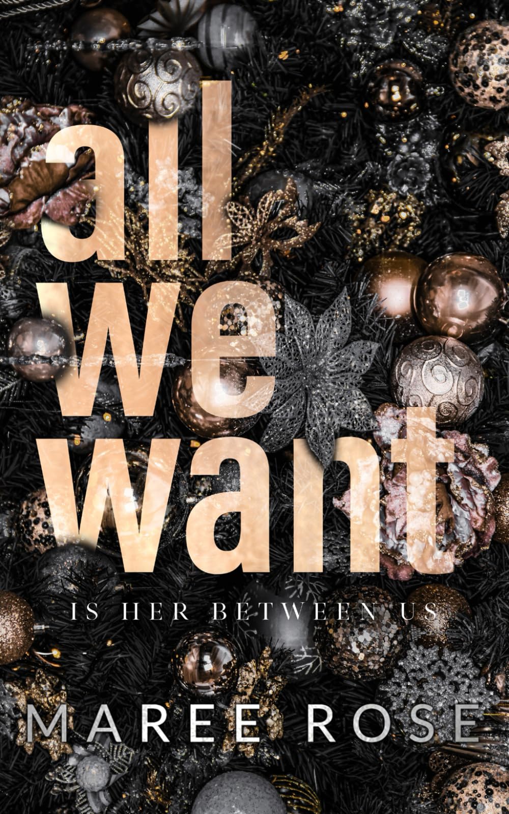 All We Want: A Reverse Harem Christmas Novella Romantic Thrillers