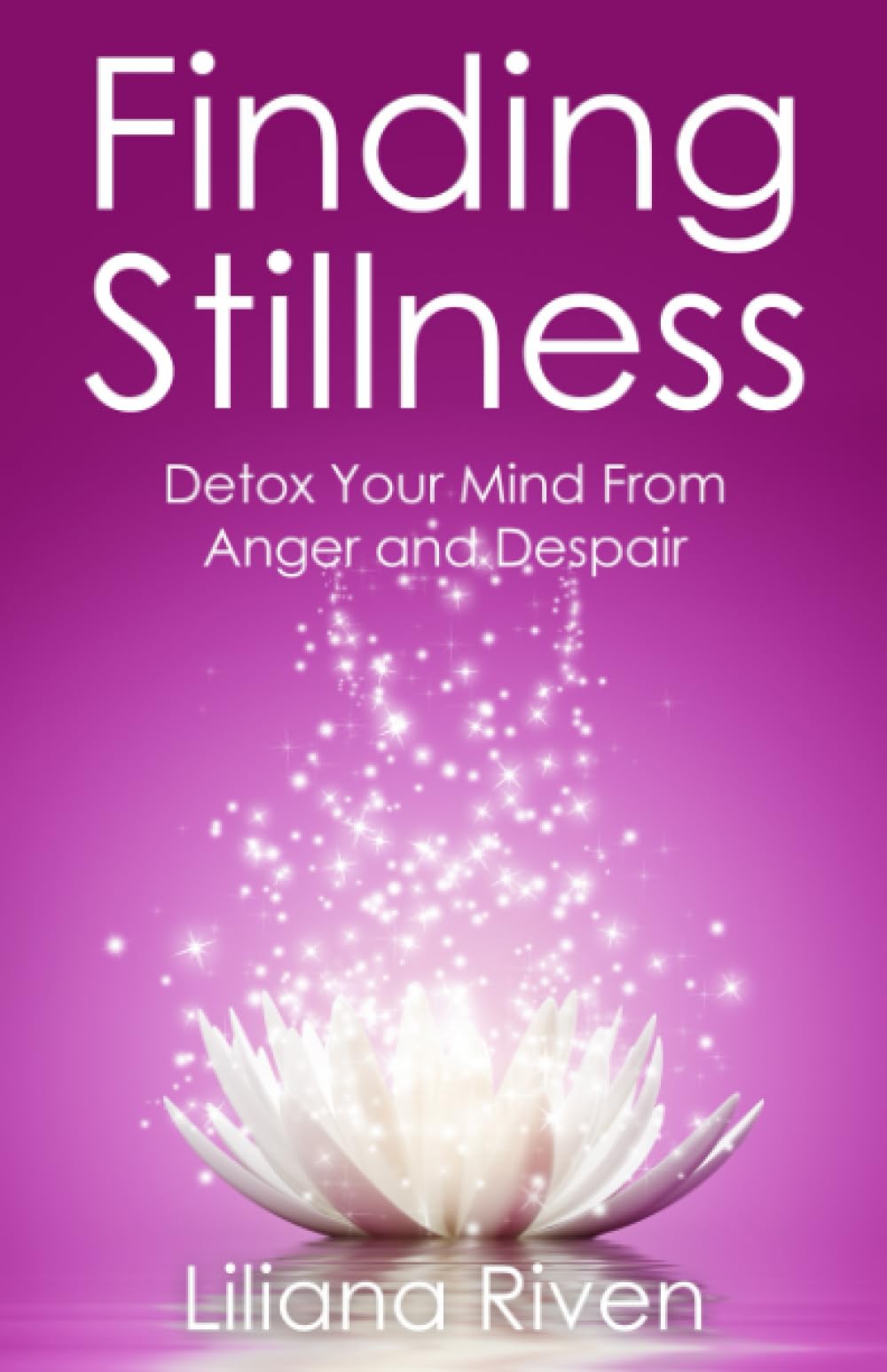 Finding Stillness: Detox Your Mind From Anger And Despair Business, Finance & Career