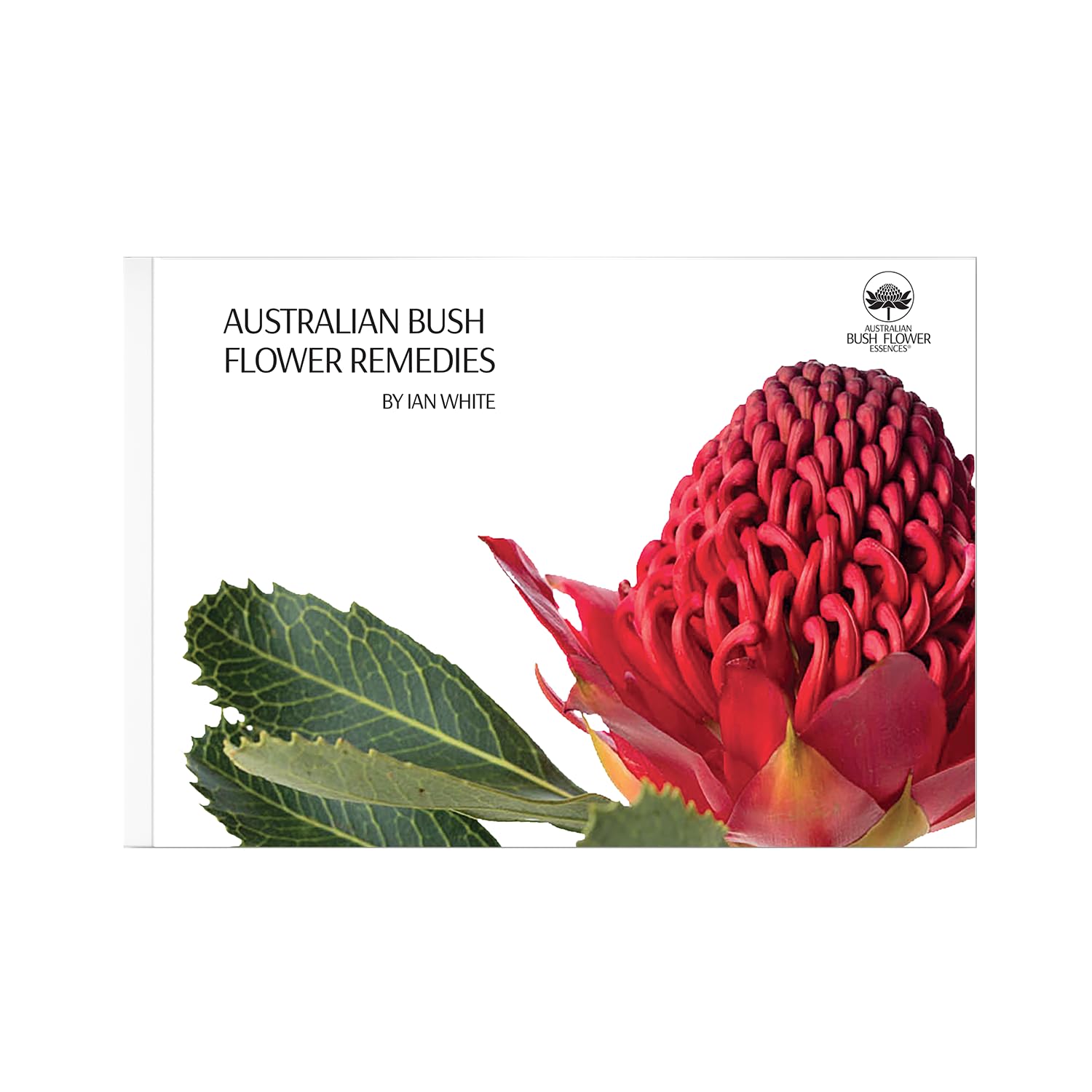 65 Australian Bush Flower Remedies Religion & Esotericism