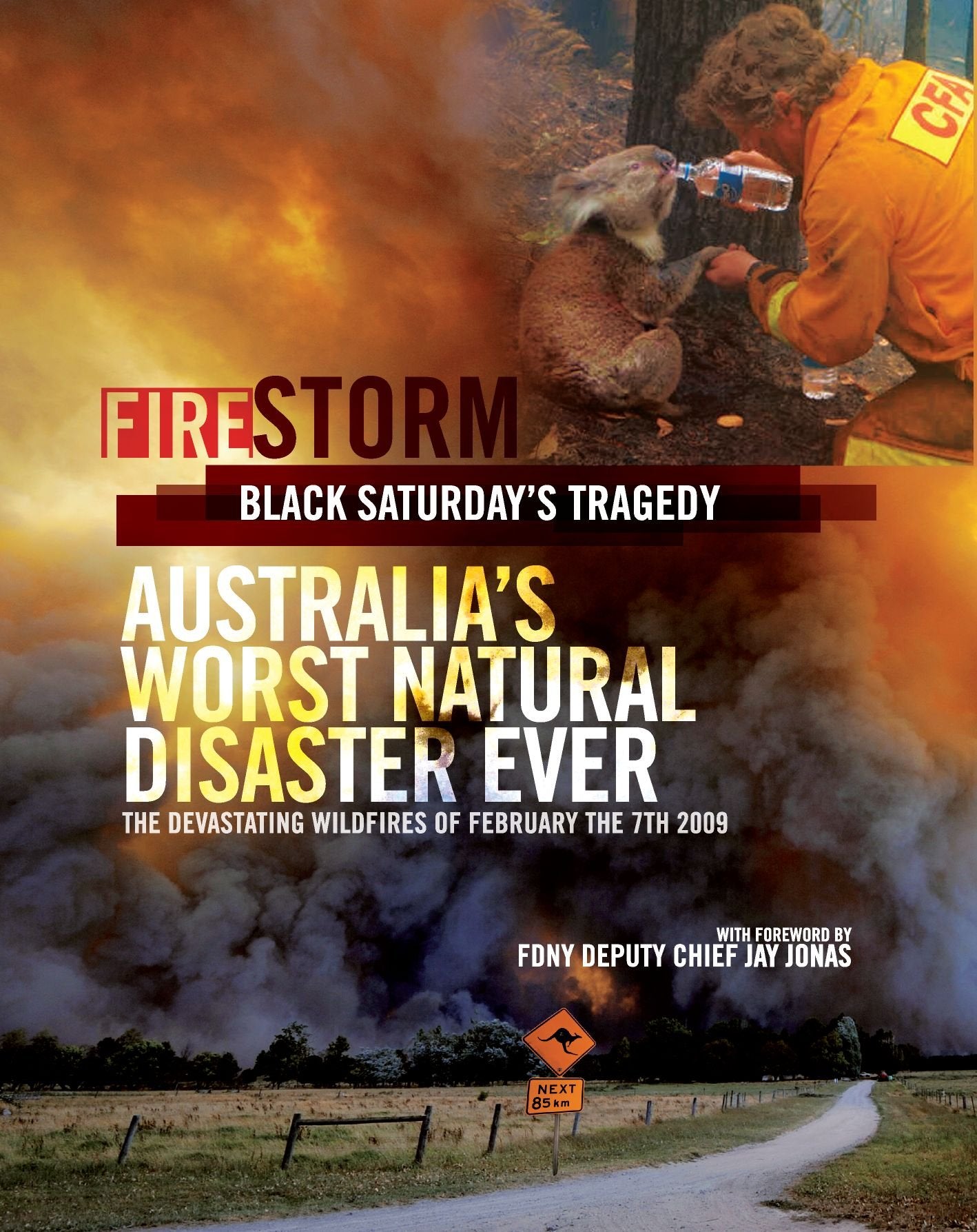 Firestorm: Black Saturday's Tragedy book