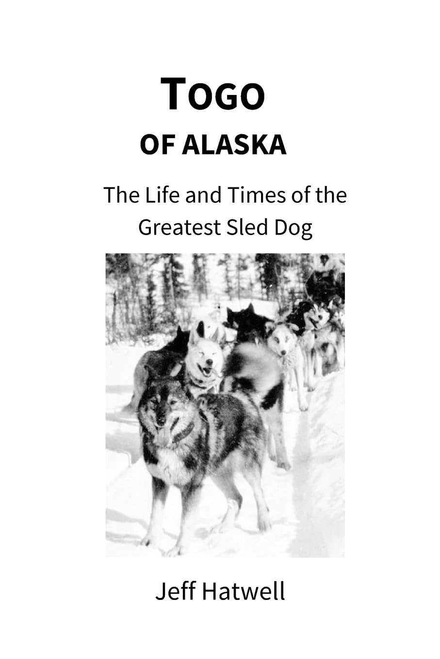 Togo of Alaska Memories