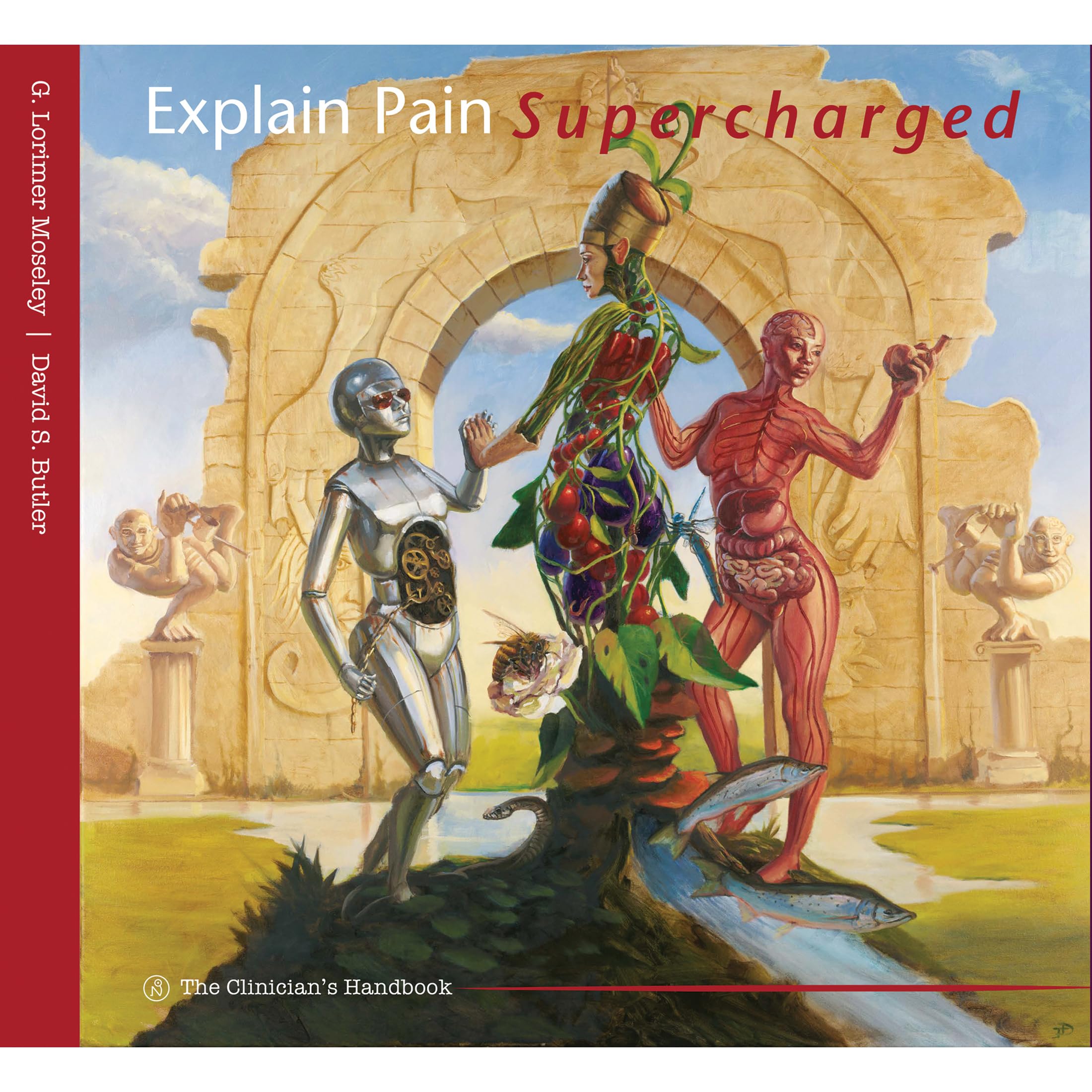 Product Image: Explain Pain Super Charged