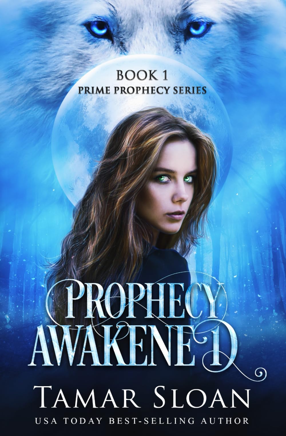 Prophecy Awakened: Prime Prophecy Series Book 1 Action & Adventure