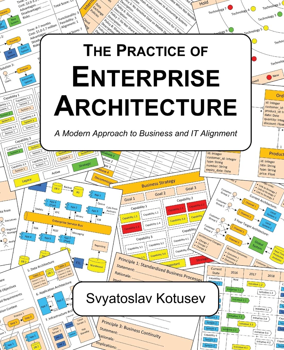 The Practice of Enterprise Architecture: A Modern Approach to Business and IT Alignment Business, Finance & Career