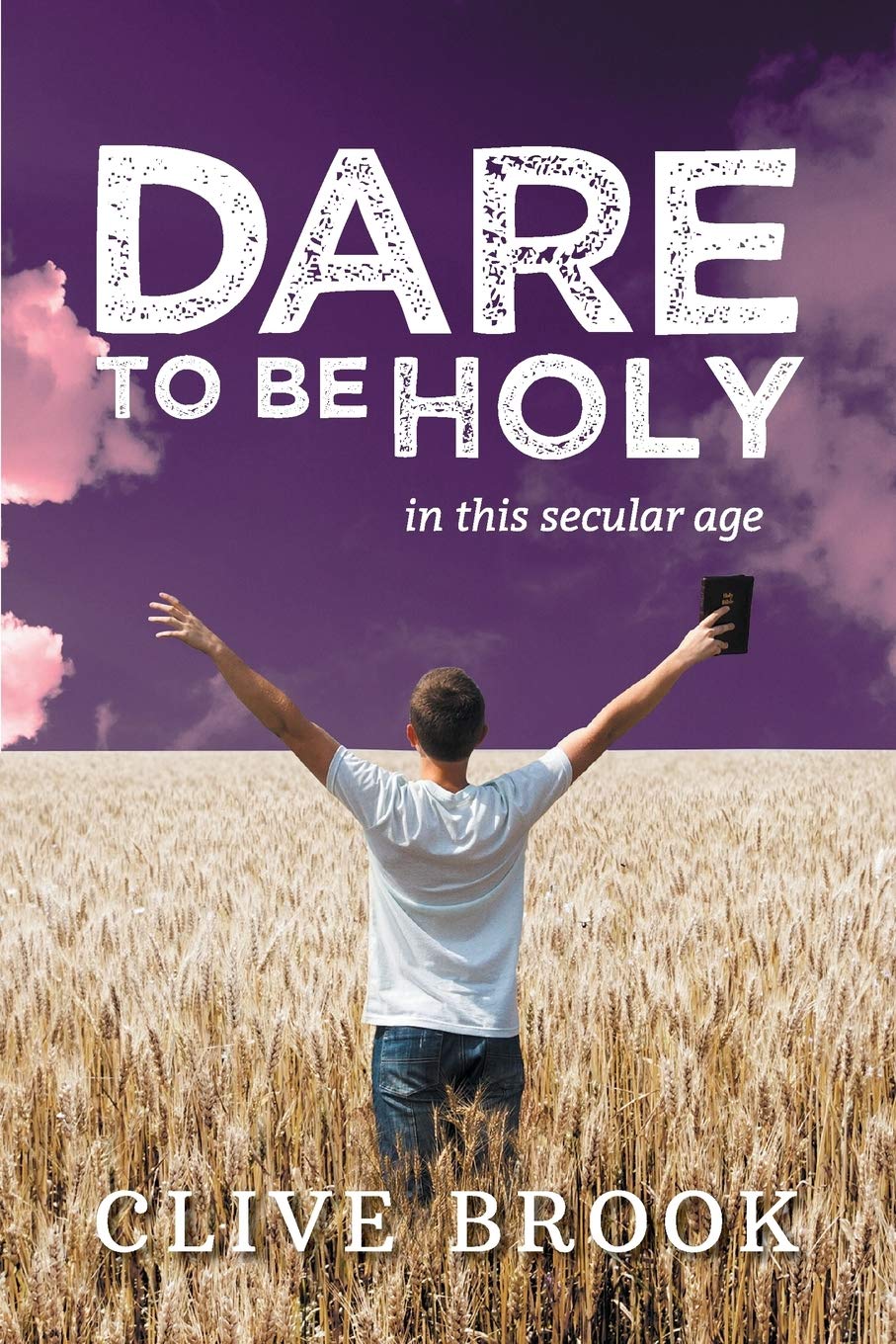 Product Image: Dare to Be Holy in This Secular Age