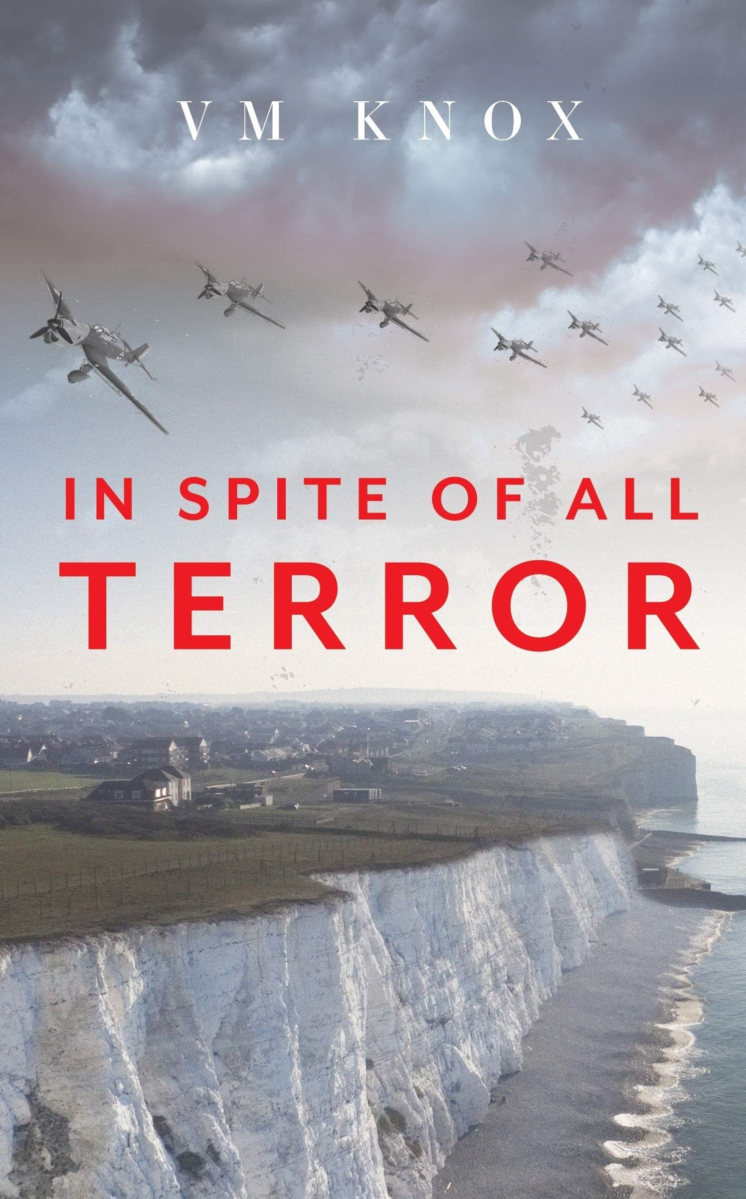 In Spite of All Terror (A Clement Wisdom Novel, Band 1) Contemporary literature
