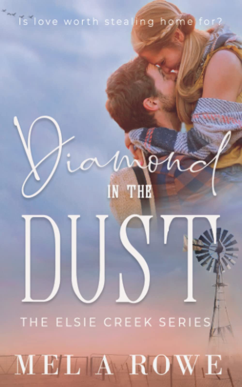 Diamond in the Dust (Elsie Creek Series, Band 2) Contemporary literature