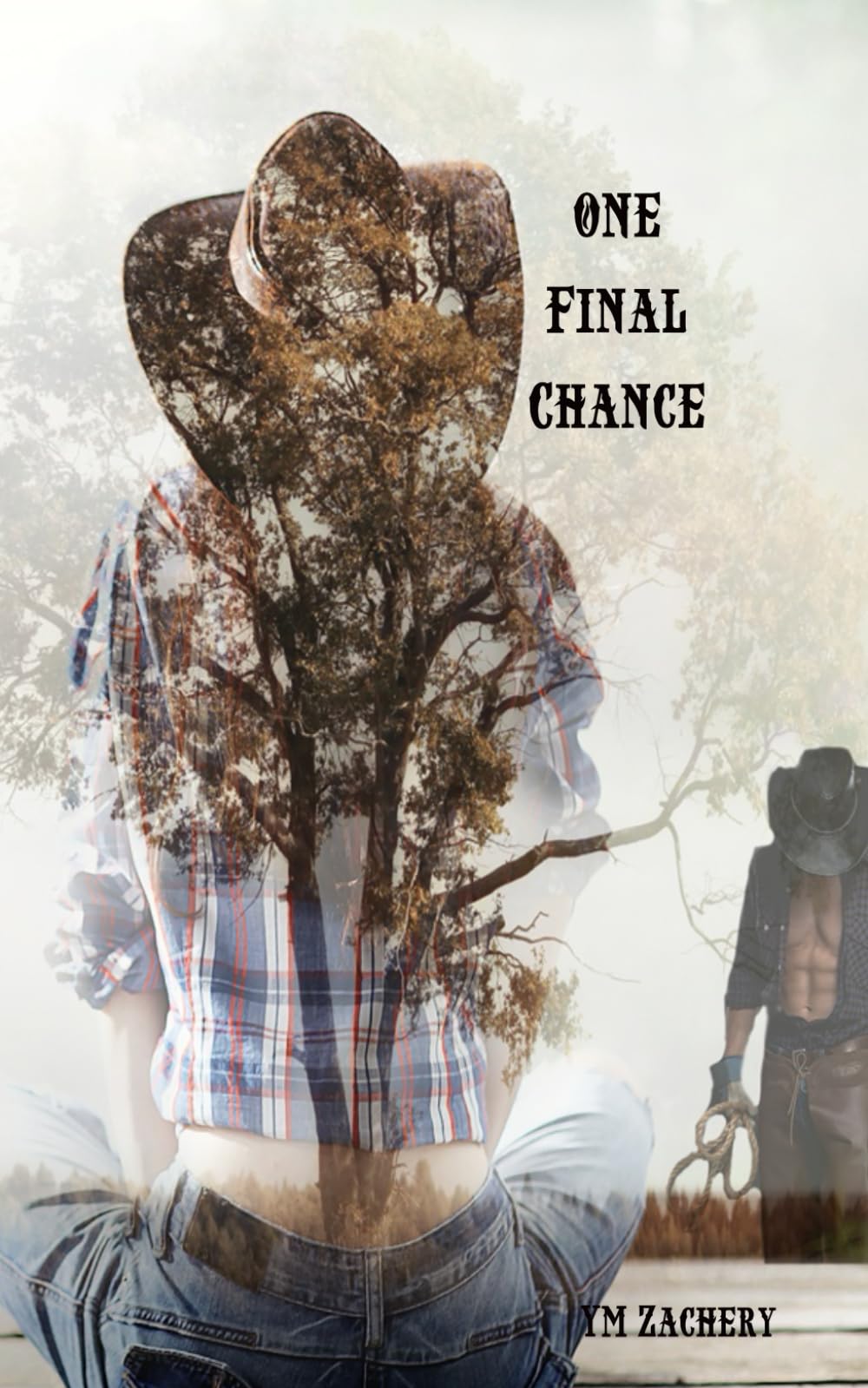 One Final Chance Contemporary literature Books