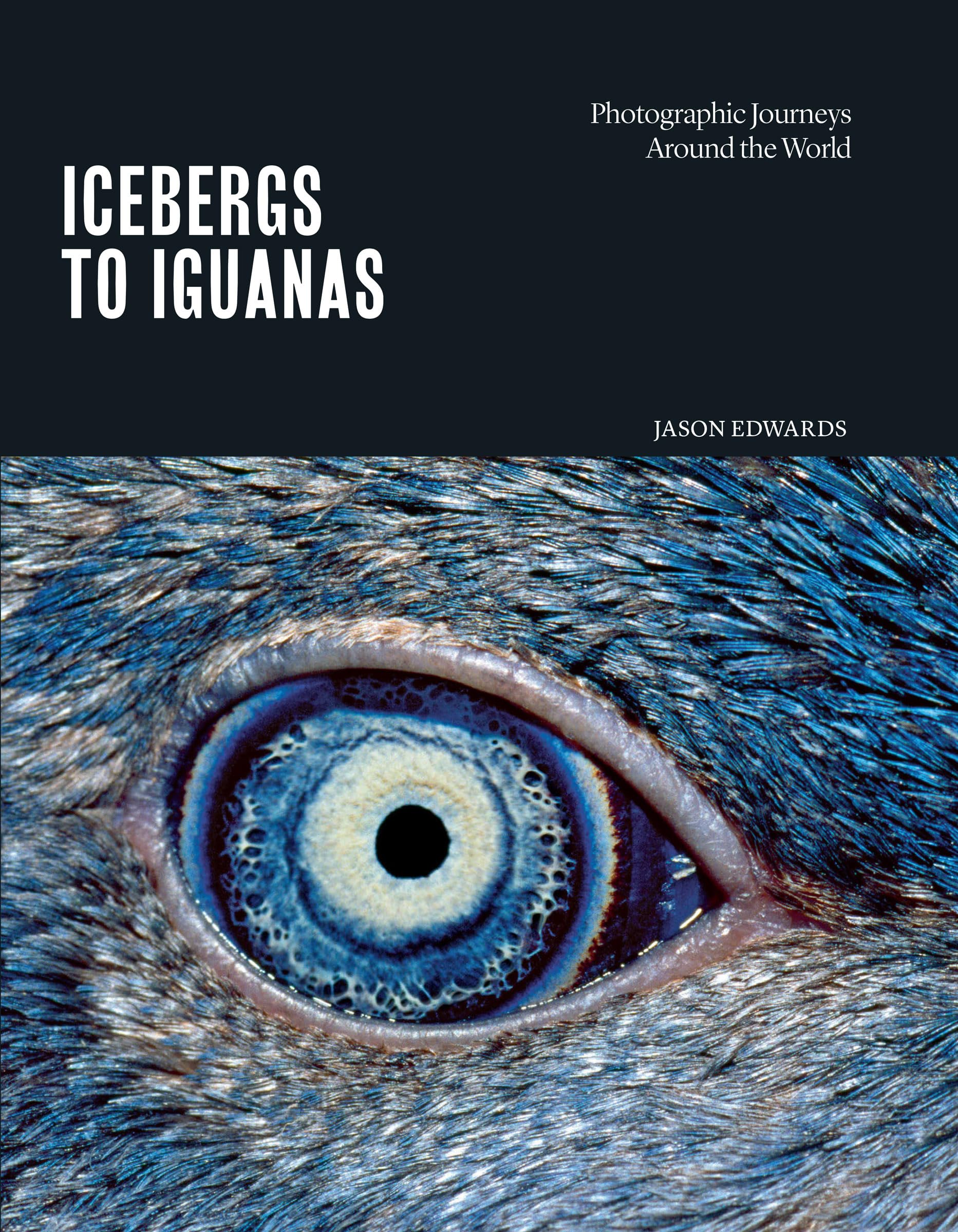 Icebergs to Iguanas: Photographic Journeys Around the World Photography