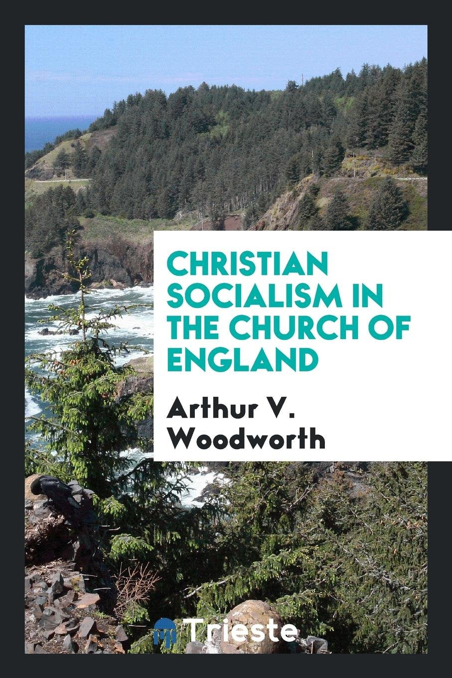 Christian Socialism in the Church of England Contemporary literature