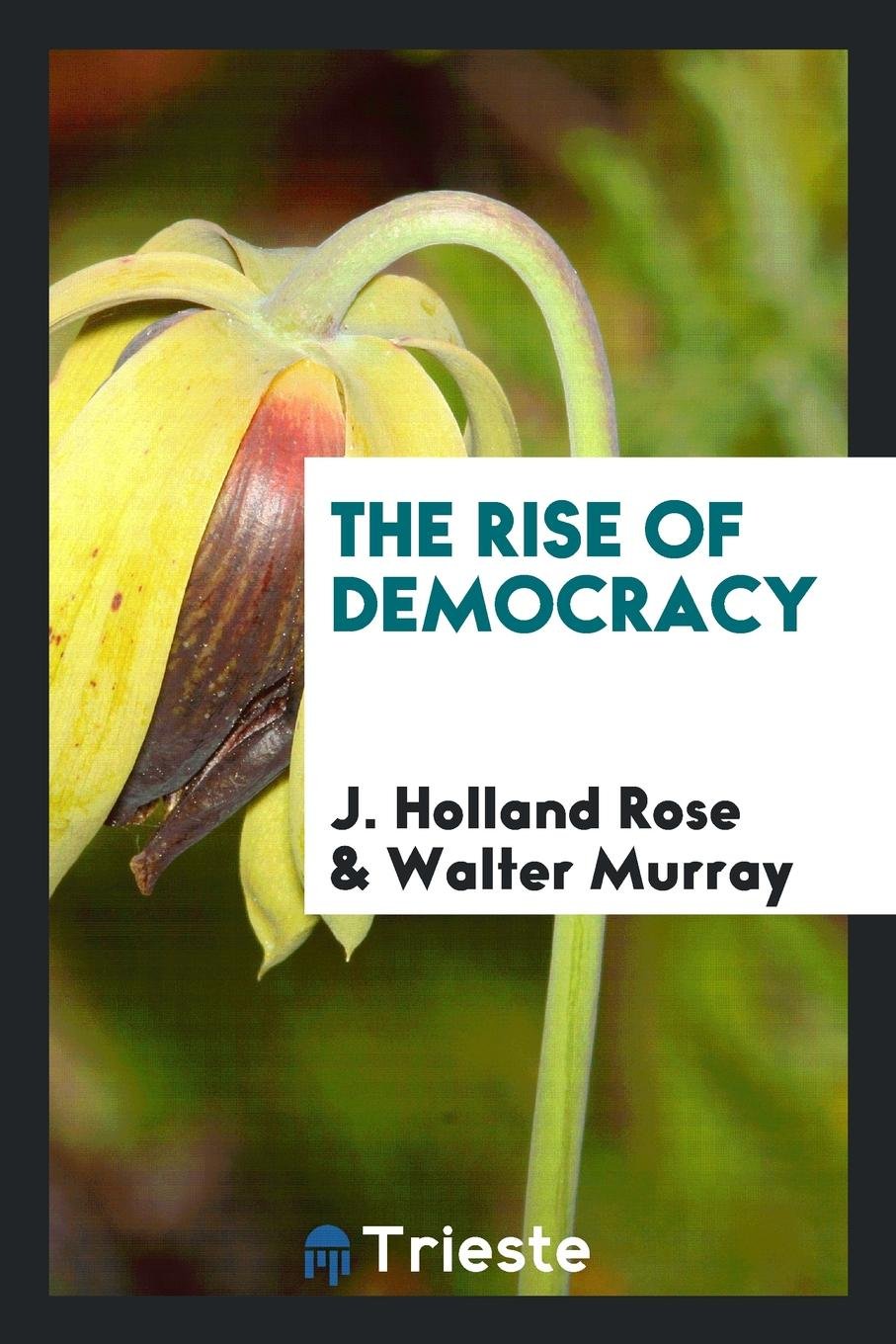 The Rise of Democracy Social Sciences