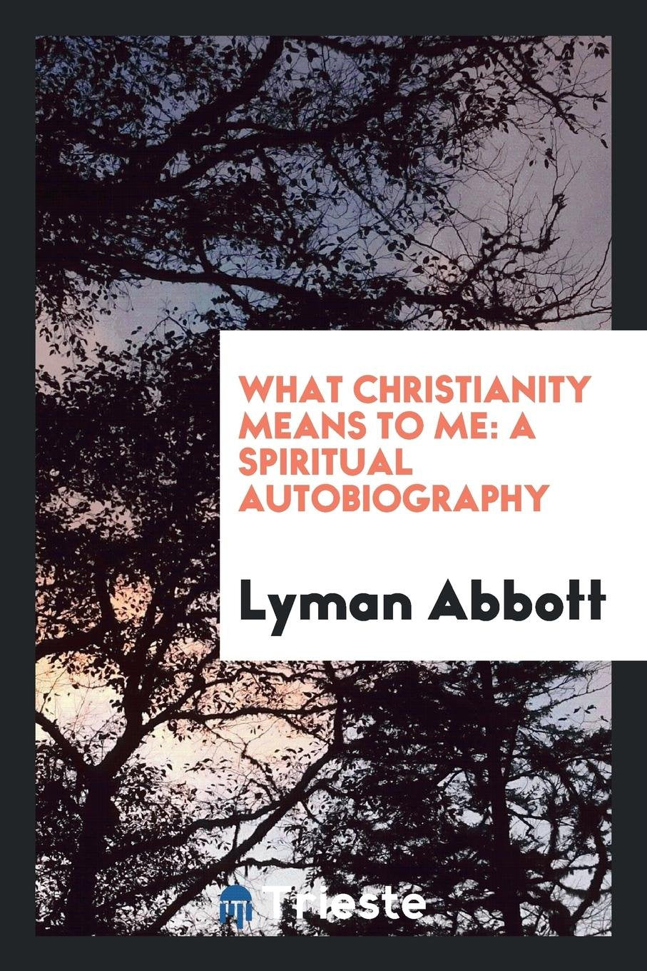 What Christianity Means to Me; A Spiritual Autobiography Contemporary literature