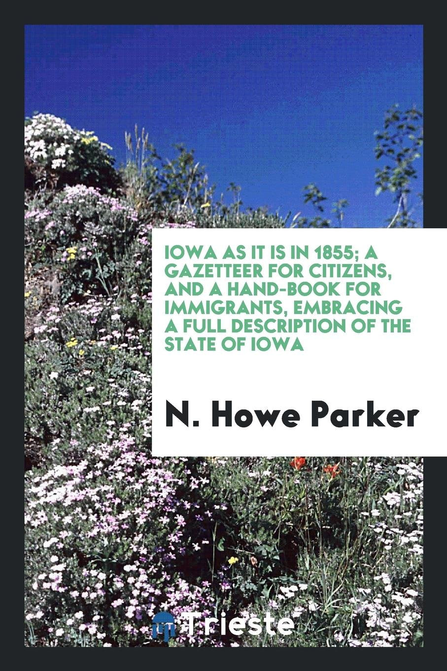 Iowa as It Is in 1855; A Gazetteer for Citizens, and a Hand-Book for Immigrants, Embracing a Full Description of the State of Iowa: Her Agricultural, ... Condition of Churches and Schools in Each Co Social Sciences