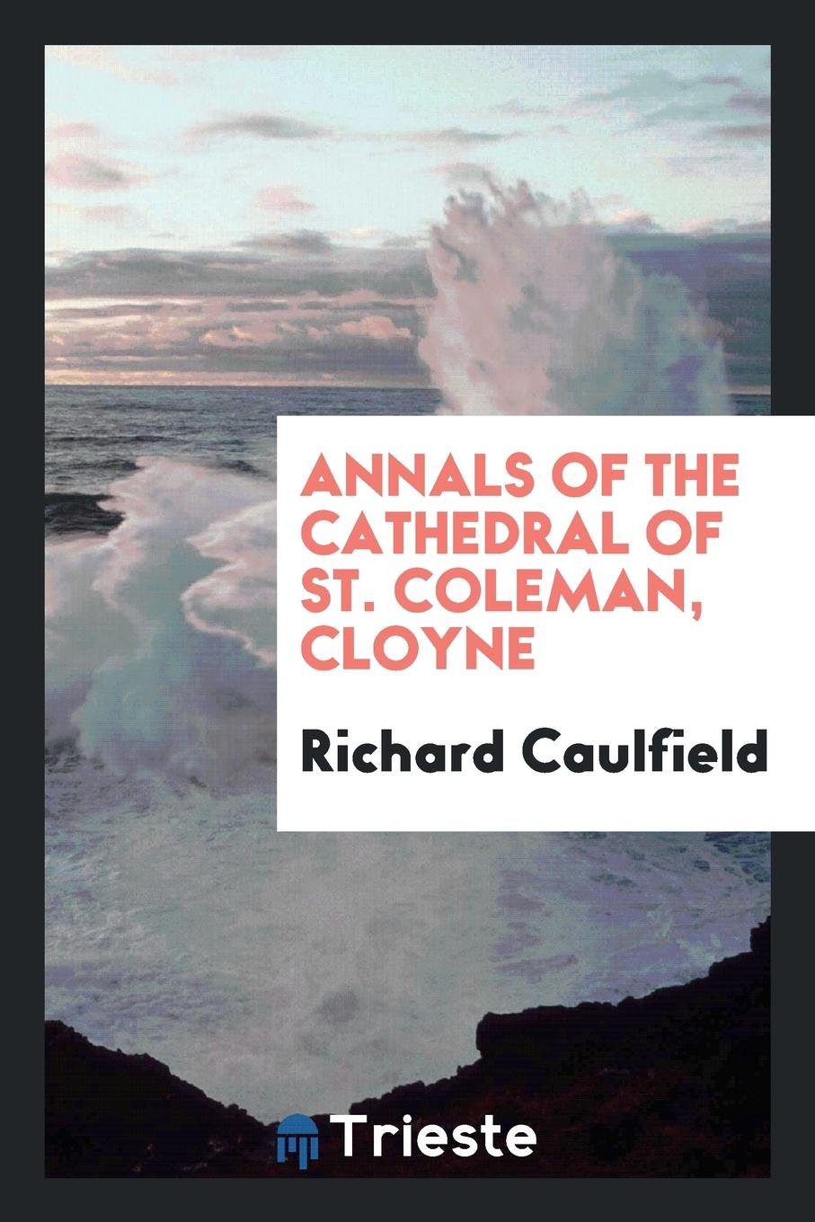 Annals of the Cathedral of St. Coleman, Cloyne Politics & History