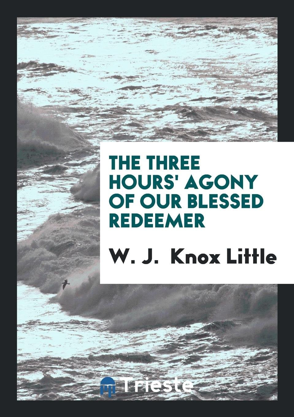 The Three Hours' Agony of Our Blessed Redeemer: Addresses Politics & History