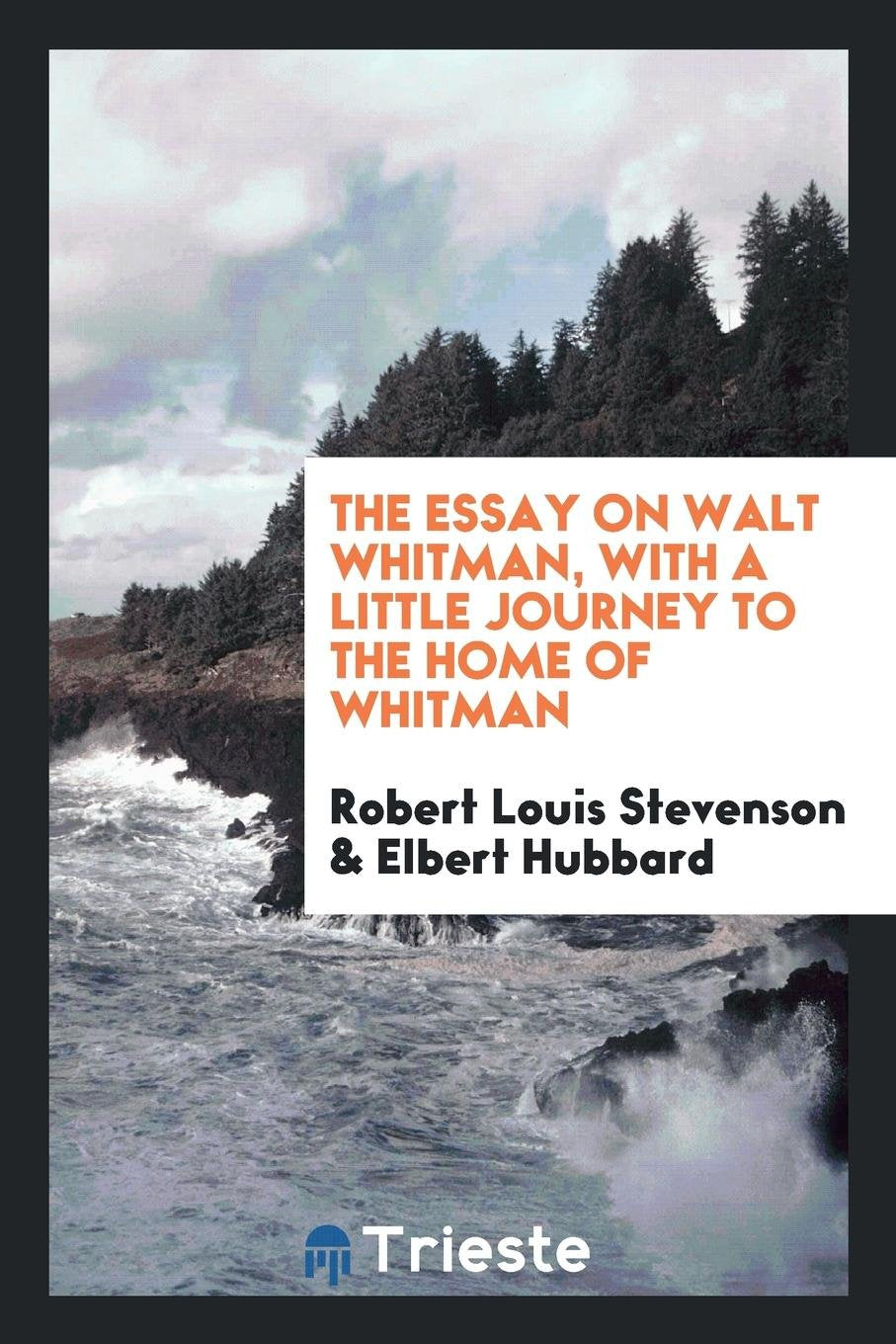 Fundamentals of Essay Writing: An Orientation Manual: Questions, Answers ... Poetry