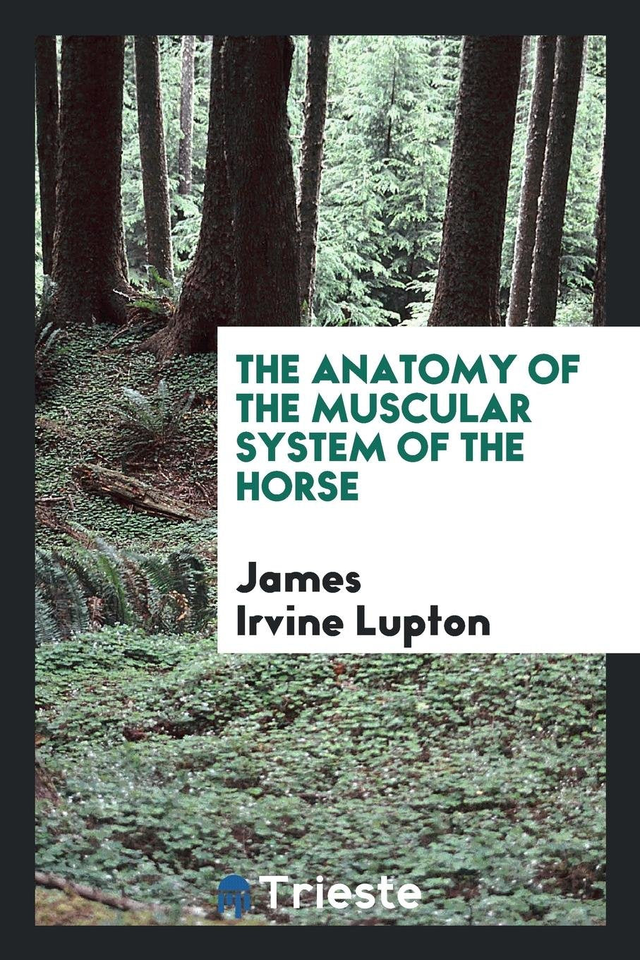 The Anatomy of the Muscular System of the Horse Politics & History