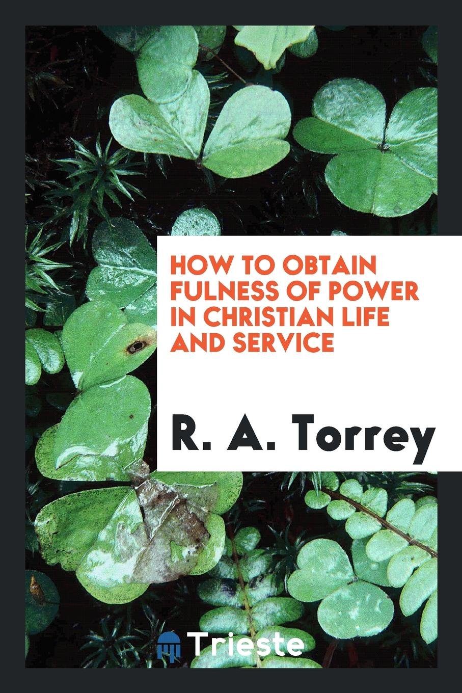 How to Obtain Fulness of Power in Christian Life and Service Social Sciences