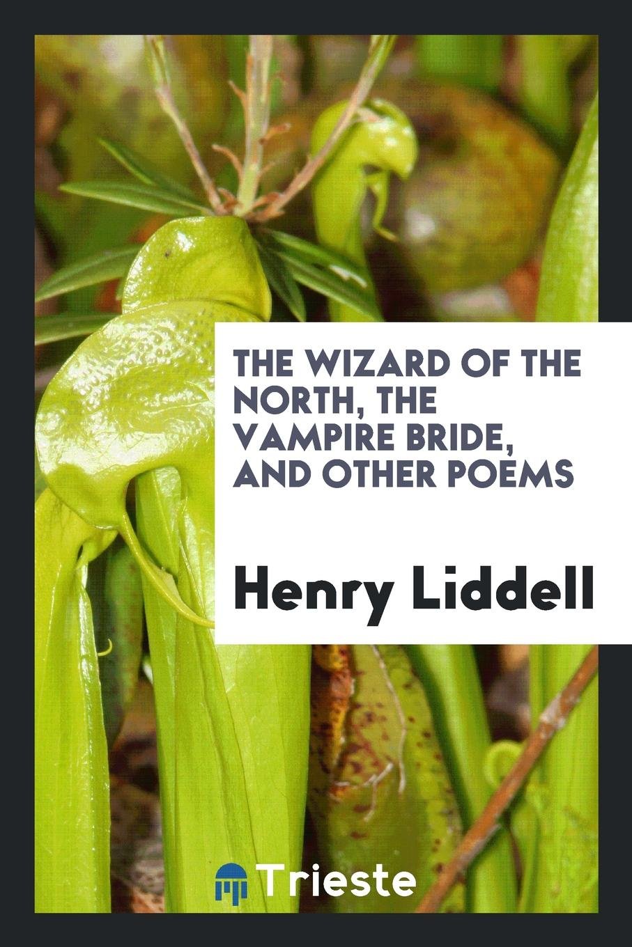 The Wizard of the North, the Vampire Bride, and Other Poems Poetry