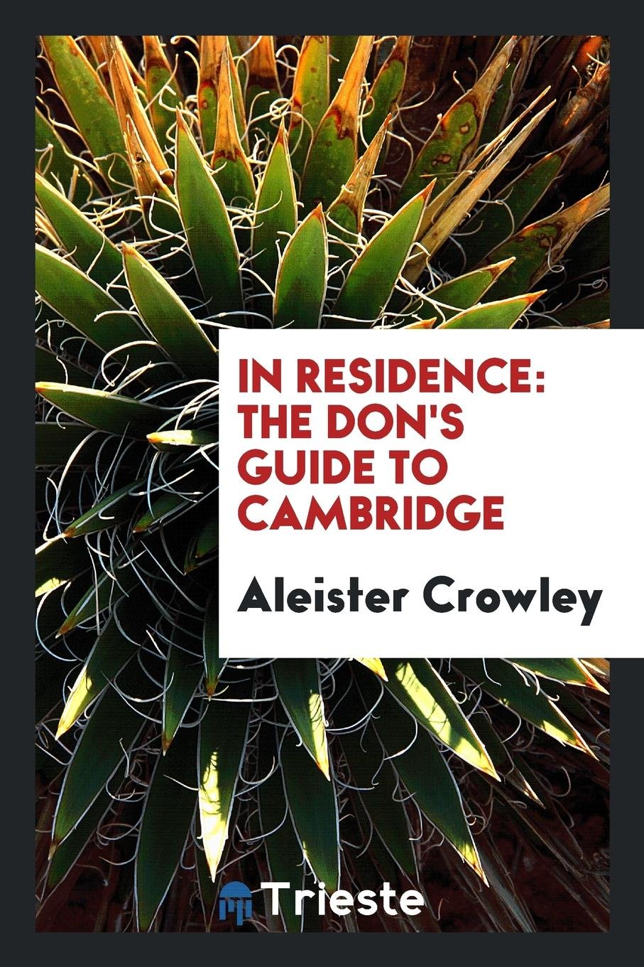In Residence: The Don's Guide to Cambridge Poetry