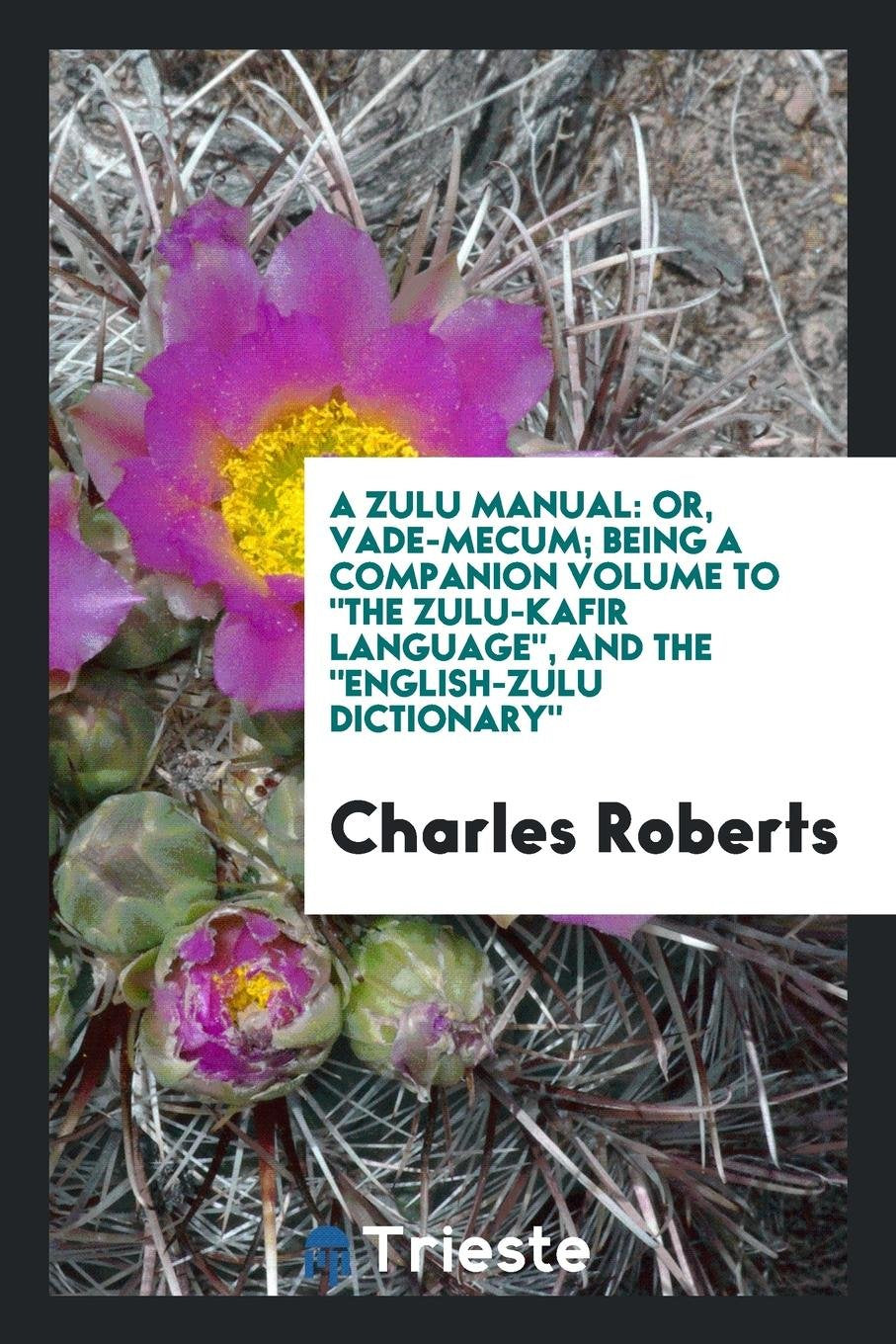 A Zulu Manual: Or, Vade Mecum; Being a Companion Volume to the Zulu-Kafir Language, and the ... Foreign Languages ​​& Dictionaries